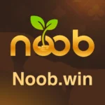 NOOBWIN Game